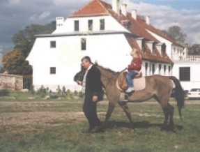 Gospodarstwo Agroturystyczne Pod Wieżą