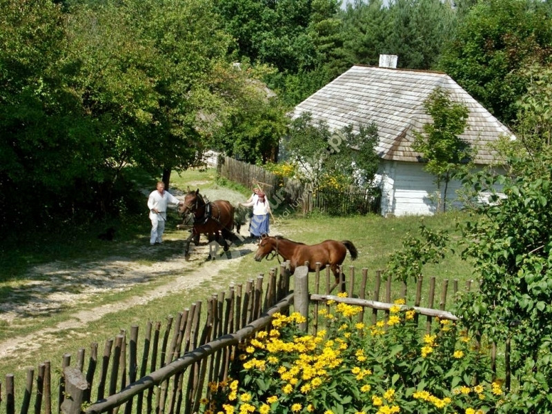 Muzeum Wsi Kieleckiej
