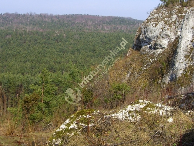 Grzęda Mirowsko-Bobolicka