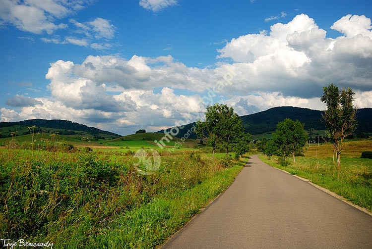 Lokalna Organizacja Turystyczna Bieszczady