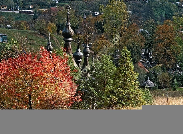 Krynicka Organizacja Turystyczna