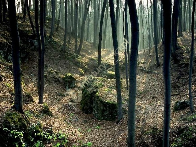 Zamek na Ostrężniku