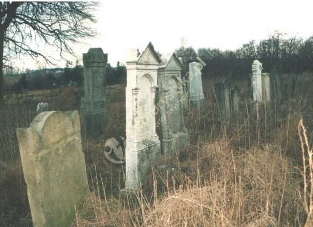 Cmentarz Żydowski w Koronowie
