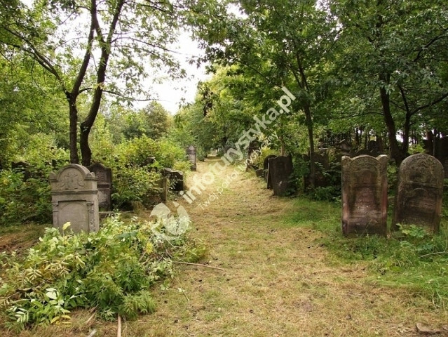 Cmentarz Żydowski w Szydłowcu