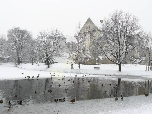 Muzeum Ludowych Instrumentów Muzycznych-Zamek ...