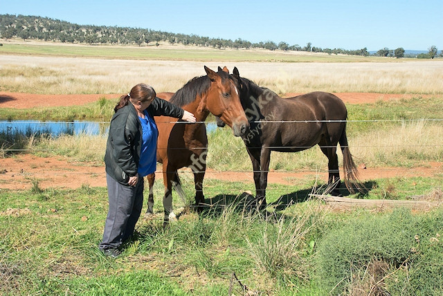 Gospodarstwo Agroturystyczne Bogumiła Włodars ...