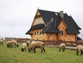 Drewniany Dom GÓRSKI AZYL
