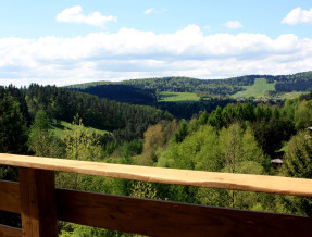 Apartament Zielony Widok - noclegi Bieszczady