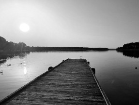 Dar Kalu - Sosnowy Gaj