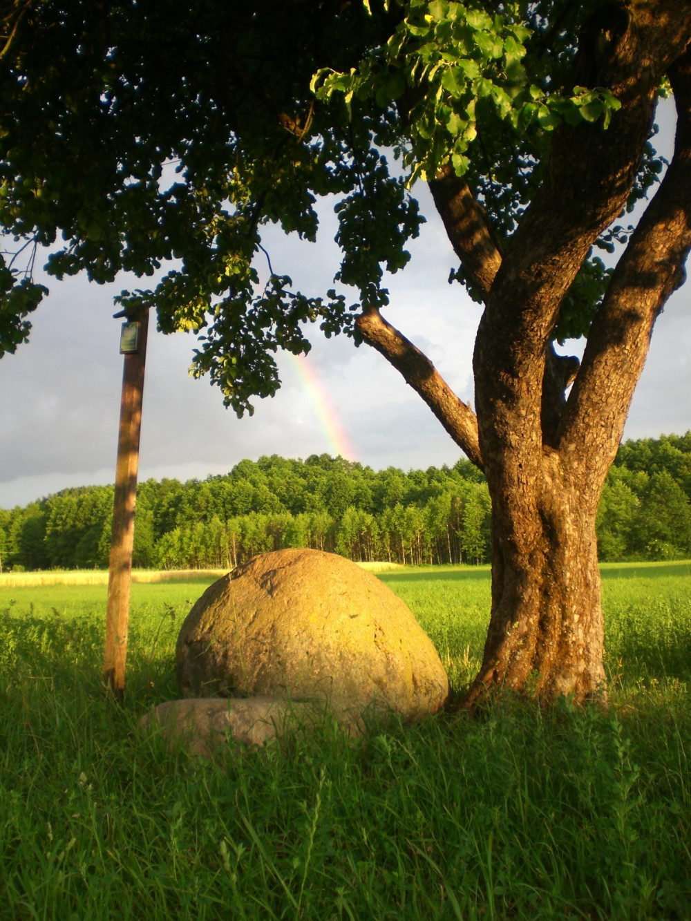 Agroturystyka Kołogłaz