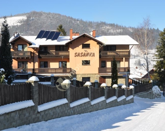 Sasanka  w miejscowości Szczyrk