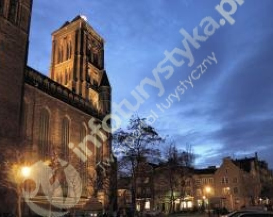 Lokalna Organizacja Turystyczna-Gdańska Organizacja Turystyczna  w miejscowości Gdańsk