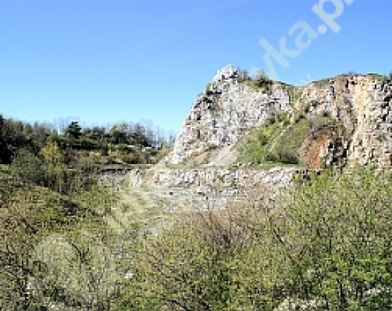 Kadzielnia - Geopark  w miejscowości Kielce