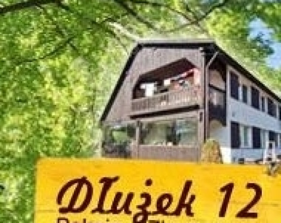 DŁUŻEK 12 w miejscowości Dłużek