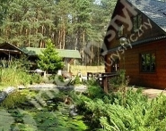 Sosnowa Dolina całoroczny dom wolnostojący Góry Świętokrzyskie w miejscowości Borków