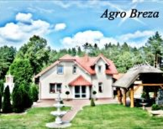 Agro Breza -dom z kominkiem 20 metrów od jeziora w miejscowości Lipusz

