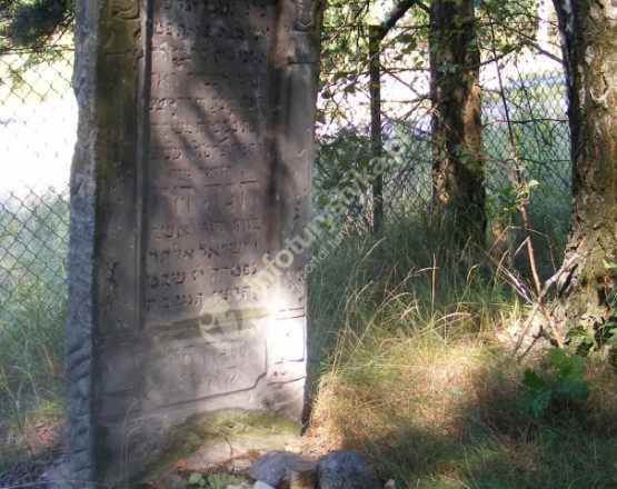 Cmentarz Żydowski w Broku w miejscowości Brok
