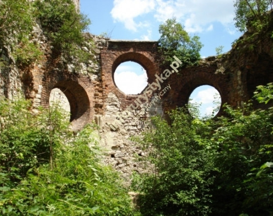 Zamek Tenczyn w Rudnie w miejscowości Babice

