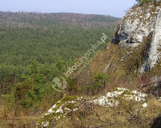 Grzęda Mirowsko-Bobolicka 