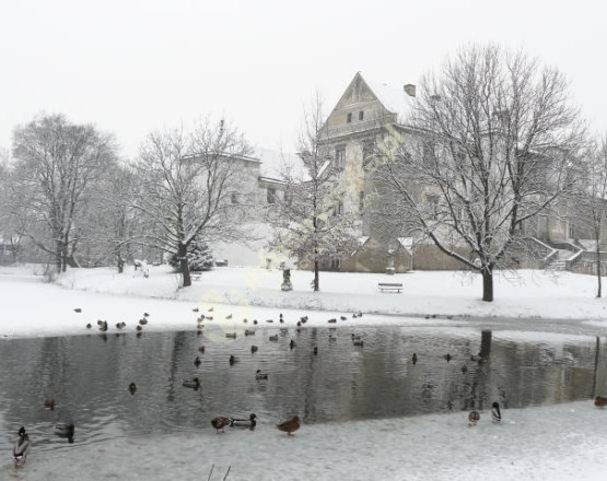 Muzeum Ludowych Instrumentów Muzycznych-Zamek w Szydłowcu  w miejscowości Szydłowiec