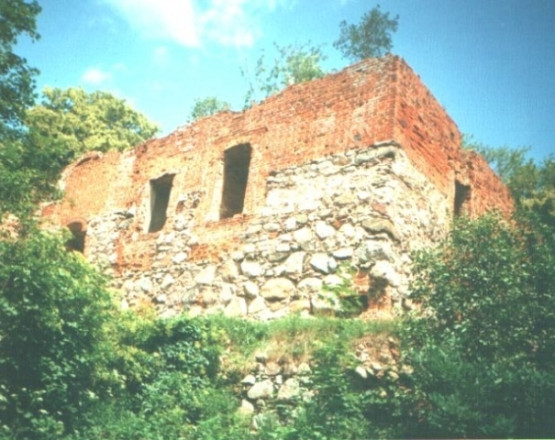 Ruiny zamku w Nowym Jasińcu w miejscowości Koronowo
