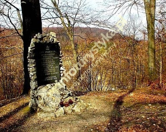 Obelisk mjr Jana Wrzoska w miejscowości Janów
