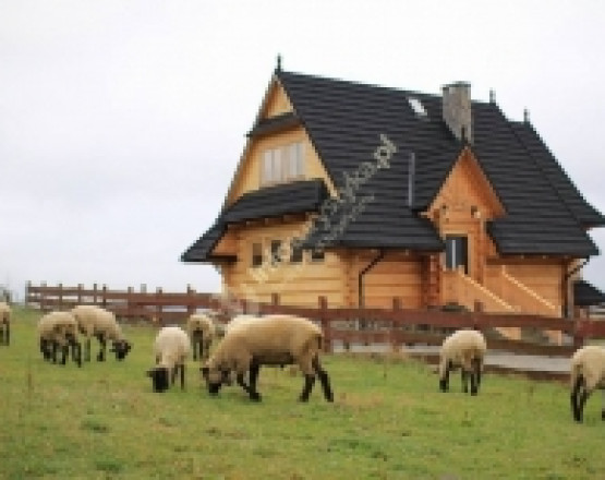 Drewniany Dom GÓRSKI AZYL w miejscowości Szlembark