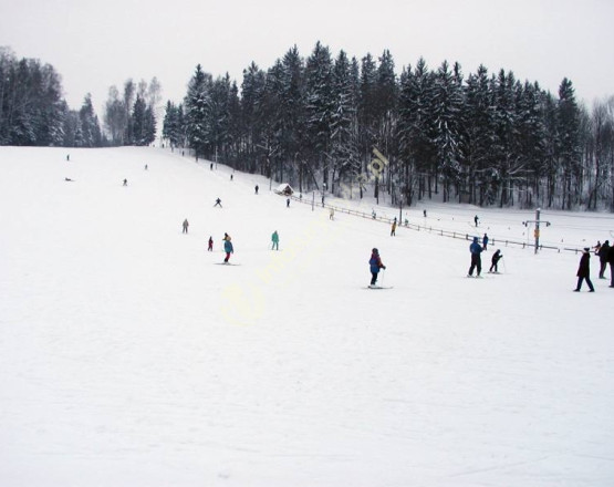 Wyciąg narciarski U Żura w miejscowości Rabka-Zdrój