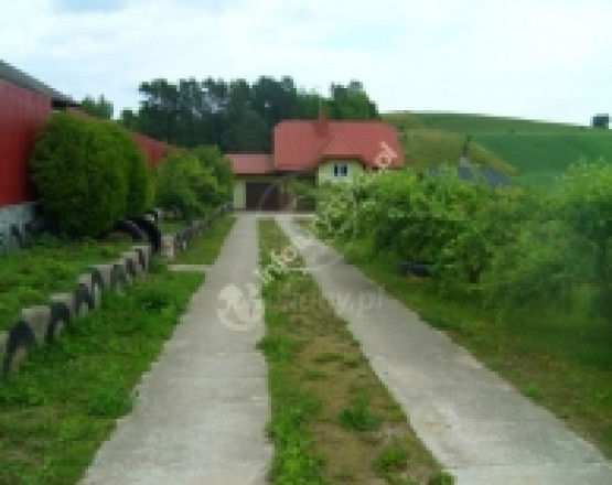 Agroturystyka KUKU-RYKU  w miejscowości Wierzbowo