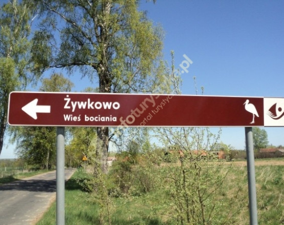 Żywkowo - bociania wieś w miejscowości Żywkowo
