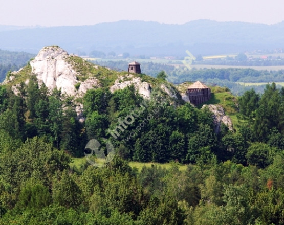 Gród na Górze Birów w Podzamczu w miejscowości Podzamcze