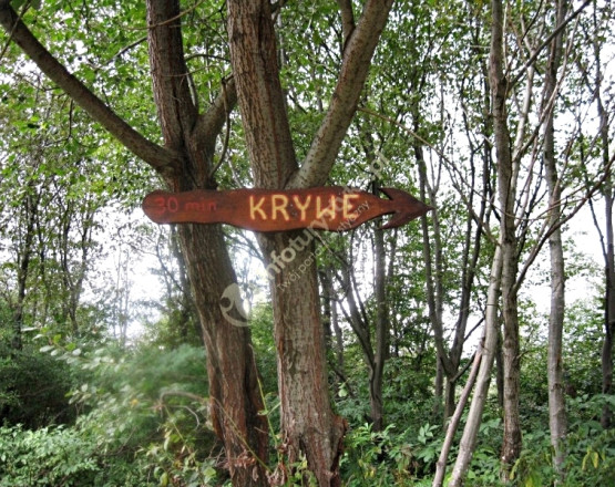 Rezerwat przyrody Krywe w miejscowości Krywe