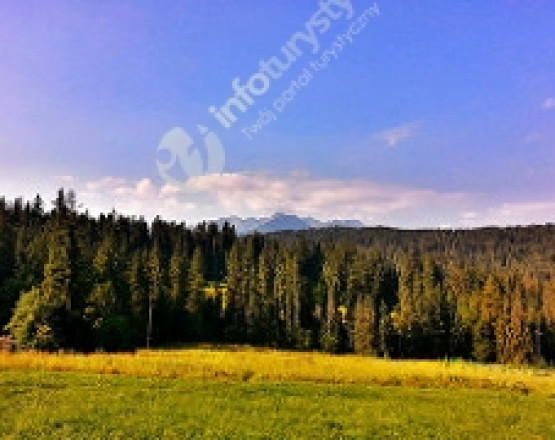 Bukowina Tatrzańska  w miejscowości Bukowina Tatrzańska