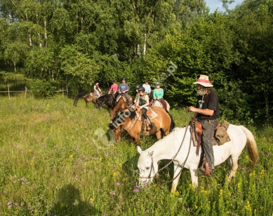 Ośrodek Górskiej Turystyki Jeździeckiej - U Prezesa w miejscowości Chmiel