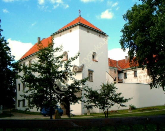 Zamek w Szydłowcu w miejscowości Szydłowiec
