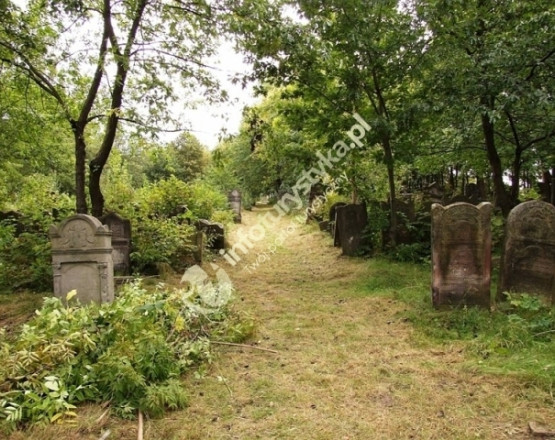Cmentarz Żydowski w Szydłowcu w miejscowości Szydłowiec
