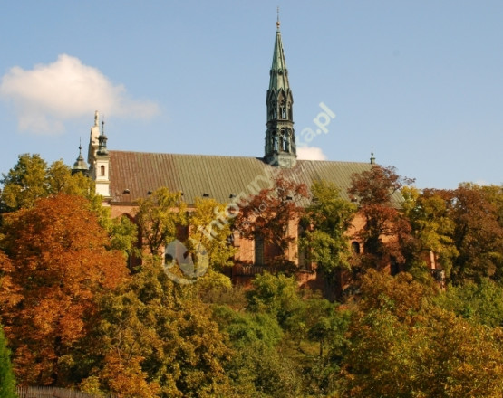 Katedra w Sandomierzu w miejscowości Sandomierz