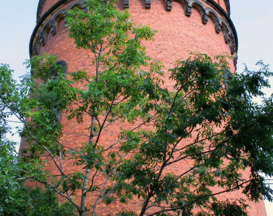 Wieża Ciśnień w miejscowości Jawor