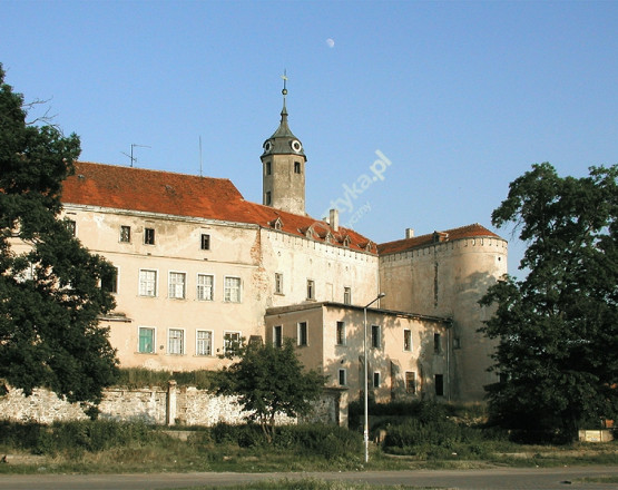 Zamek Piastowski w miejscowości Jawor