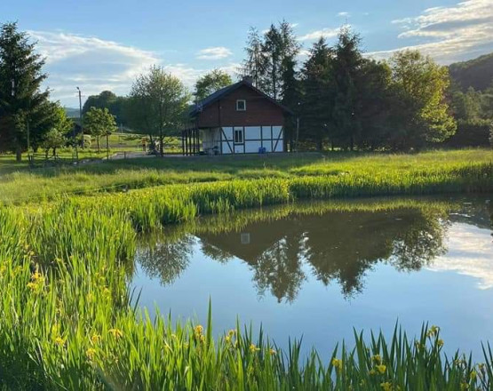 Domek nad Stawem w miejscowości Wysoczany