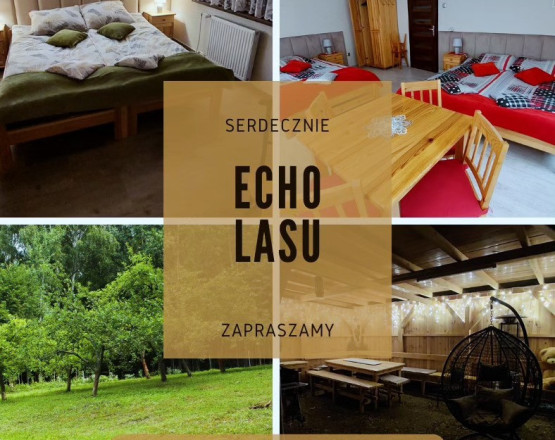 Echo Lasu - Polanica Zdrój  w miejscowości Polanica-Zdrój