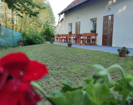 Pokoje pod Świerkami i pole namiotowe  w miejscowości Bogaczewo