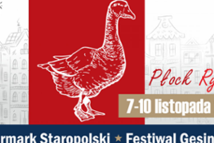 Jarmark Staropolski*Festiwal Gęsiny w miejscowości Płock