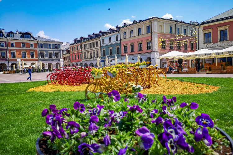 POLSKA TOSKANIA-ZAPRASZAMY NA ROZTOCZE! w miejscowości Zamość