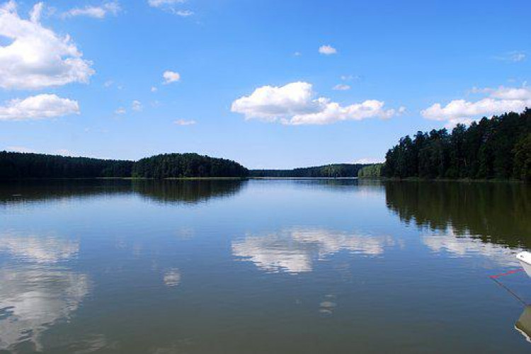 Festiwal "Bez kurtyny" w Ełku w miejscowości Ełk