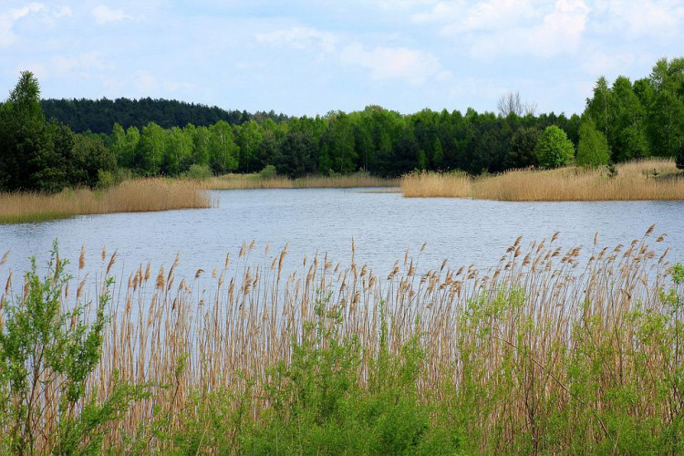 Najlepsze kąpieliska Podlaskie w miejscowości Suwałki