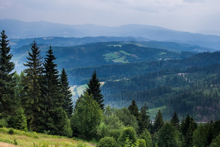 Barania Góra - jeden z najpopularniejszych szczytów w Beskidzie Śląskim w miejscowości Wisła