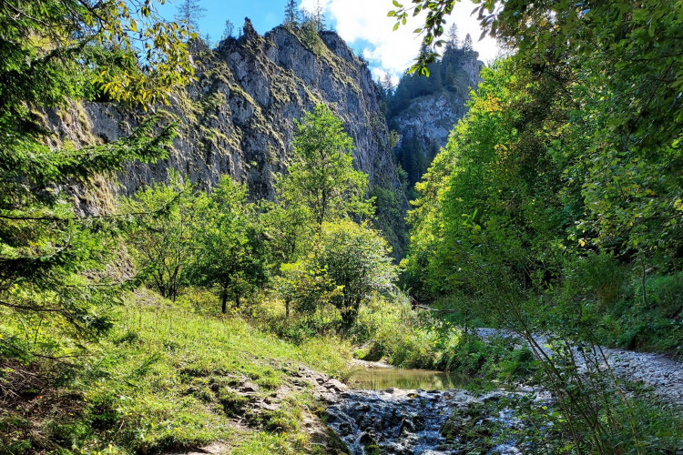 Wąwóz Homole – piękny wąwóz w Małych Pieninach w miejscowości Szczawnica