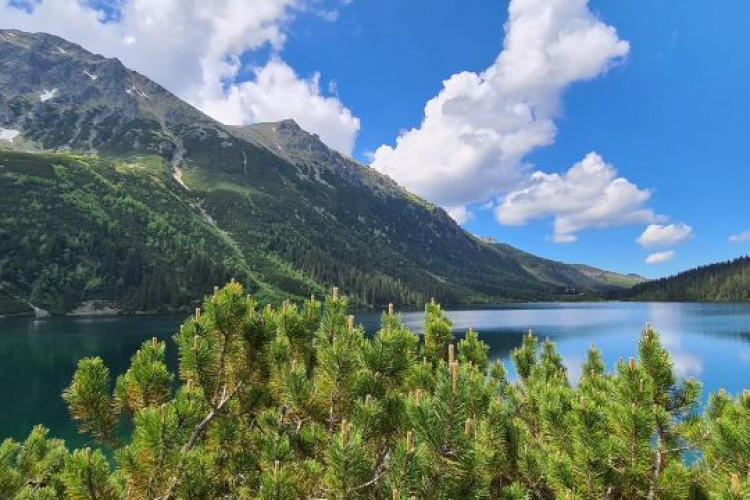 Wiosna w Tatrach w miejscowości Zakopane