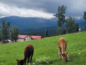 Gościniec u Tośków w miejscowości Karpacz